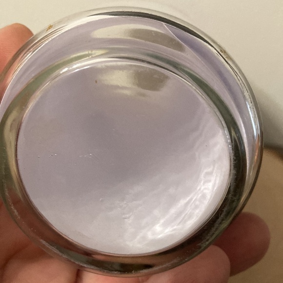 VINTAGE BURGER CHEF "THE BALD EAGLE" 1978 ENDANGERED SPECIES COLLECTORS Glass - Picture 6 of 13